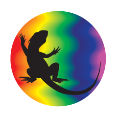 differentStrokesDragonBoatClub_logo